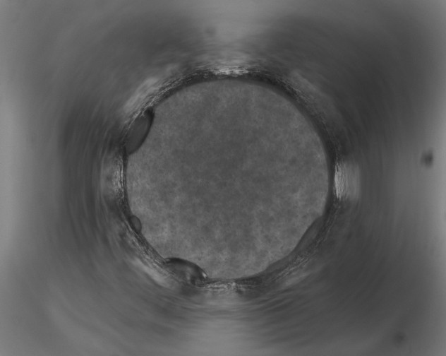 X0000115251444200912111106