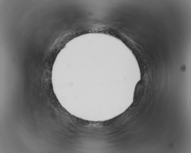 X0000115251447200912111106