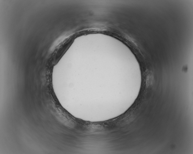 X0000115251448200912111106