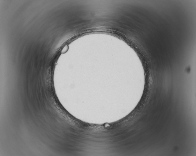 X0000115251450200912111106