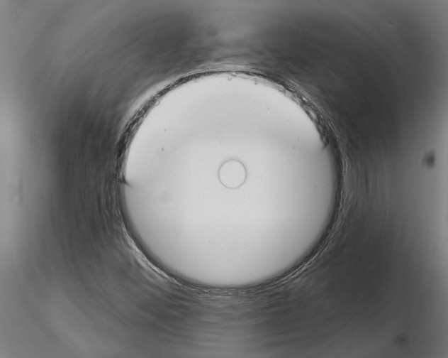 X0000115251452200912111106