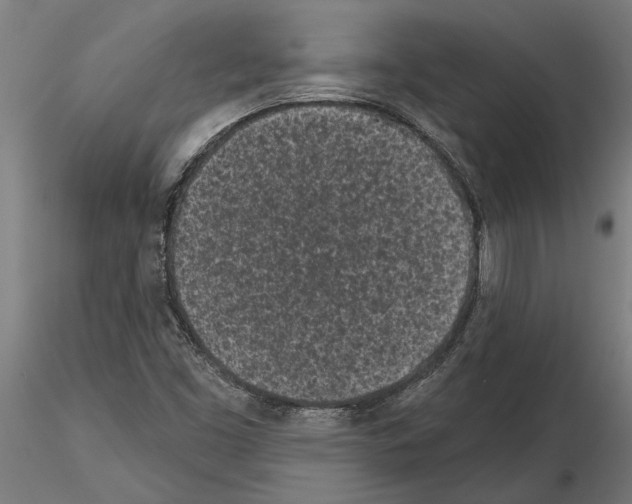 X0000115251453200912111106