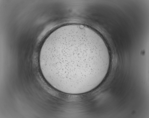 X0000115251454200912111106