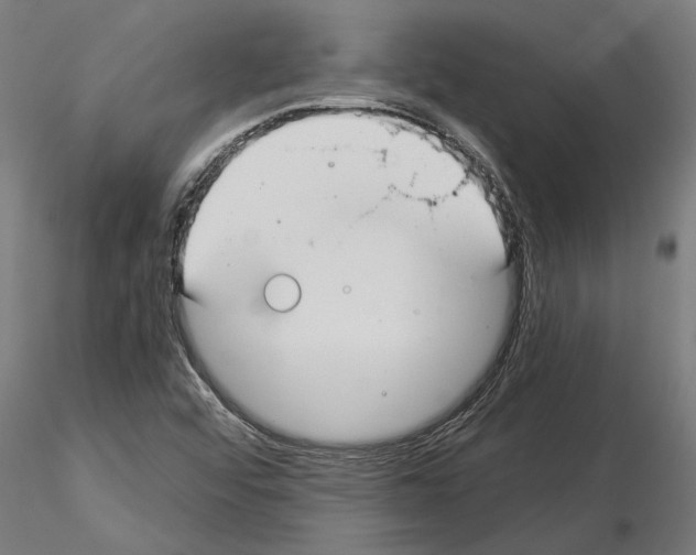 X0000115251456200912111106