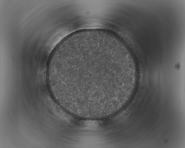 X0000115251457200912111106