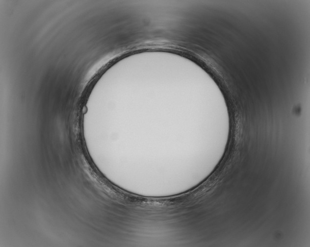 X0000115251458200912111106