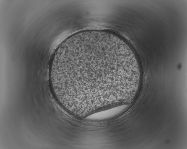 X0000115251459200912111106