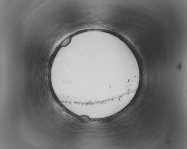 X0000115251460200912111106