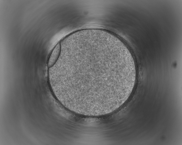 X0000115251461200912111106