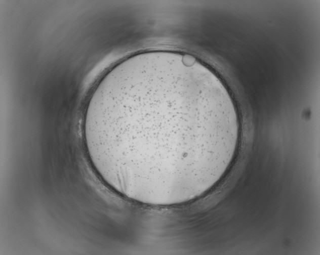 X0000115251462200912111106