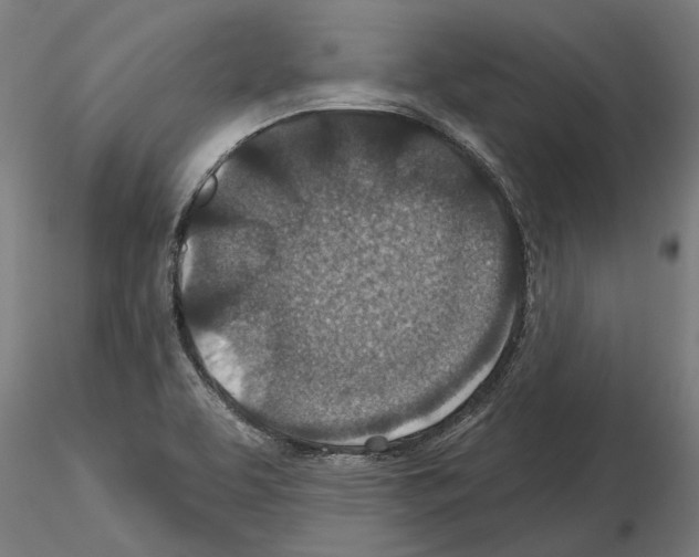 X0000115251463200912111106