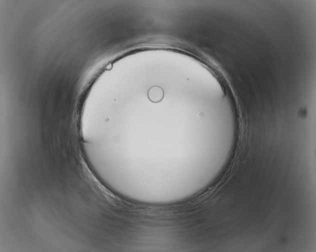 X0000115251464200912111106