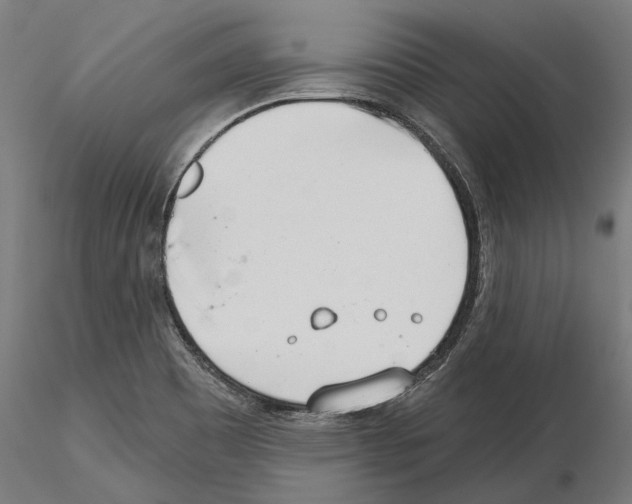 X0000115251465200912111106