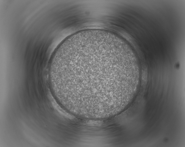 X0000115251466200912111106