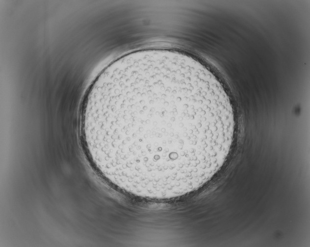 X0000115251467200912111106