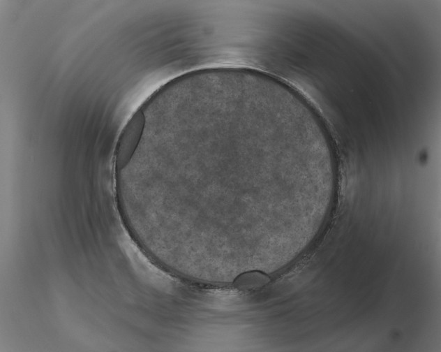 X0000115251468200912111106