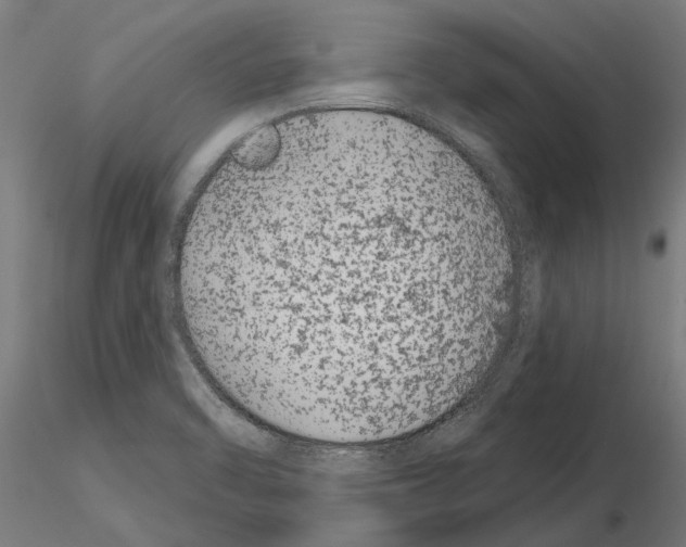 X0000115251470200912111106