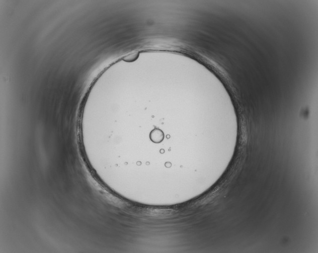 X0000115251471200912111105