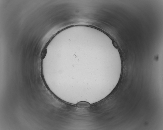 X0000115251472200912111105