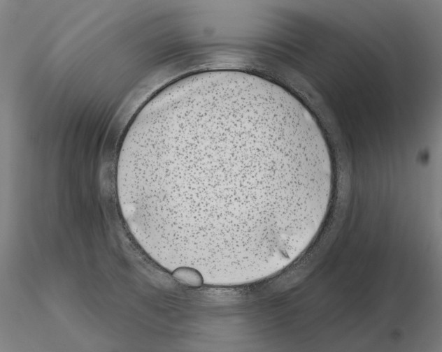 X0000115251473200912111105