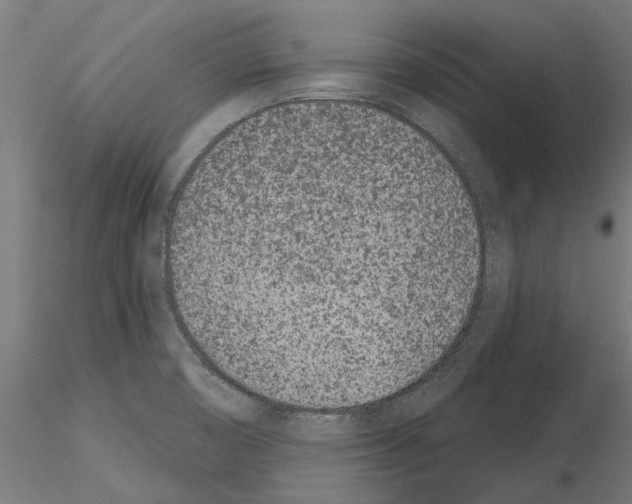 X0000115251474200912111105