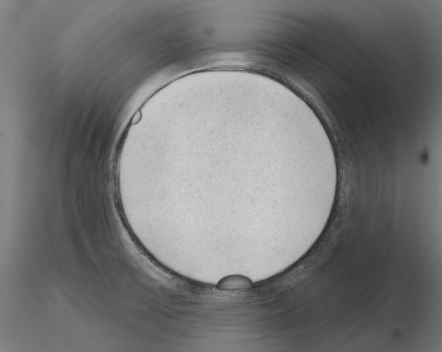 X0000115251475200912111105