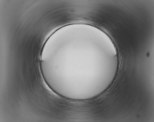 X0000115251476200912111105