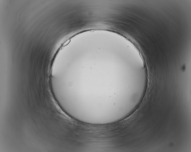 X0000115251477200912111105