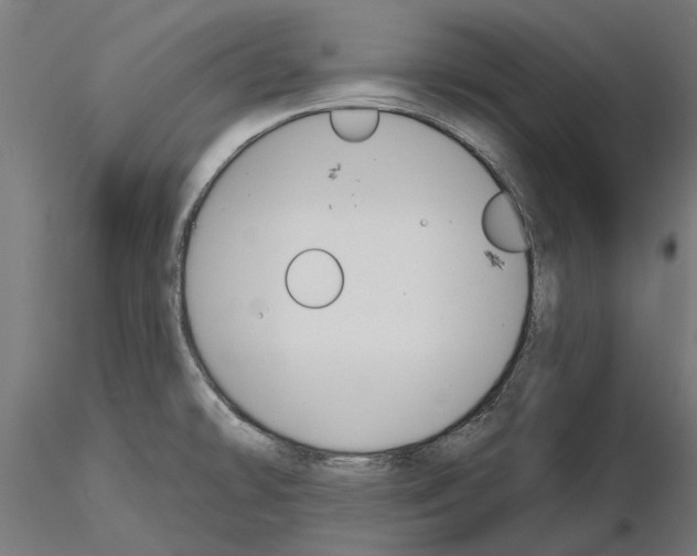 X0000115251478200912111105