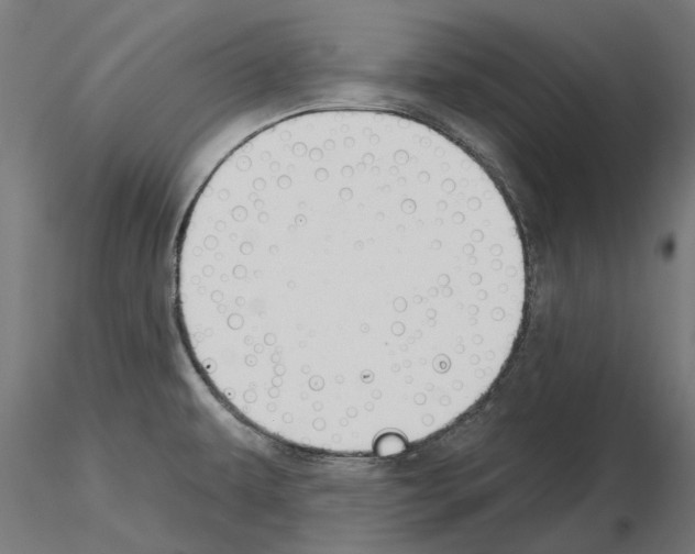 X0000115251479200912111105