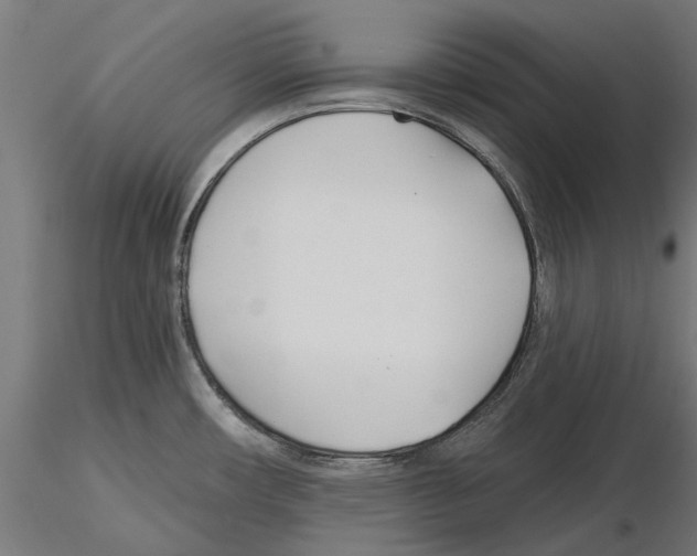 X0000115251482200912111105