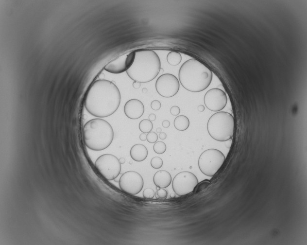 X0000115251483200912111105