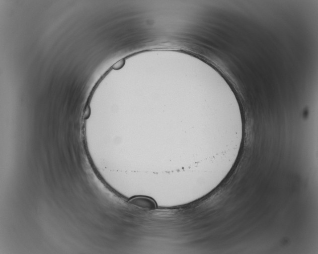 X0000115251484200912111105