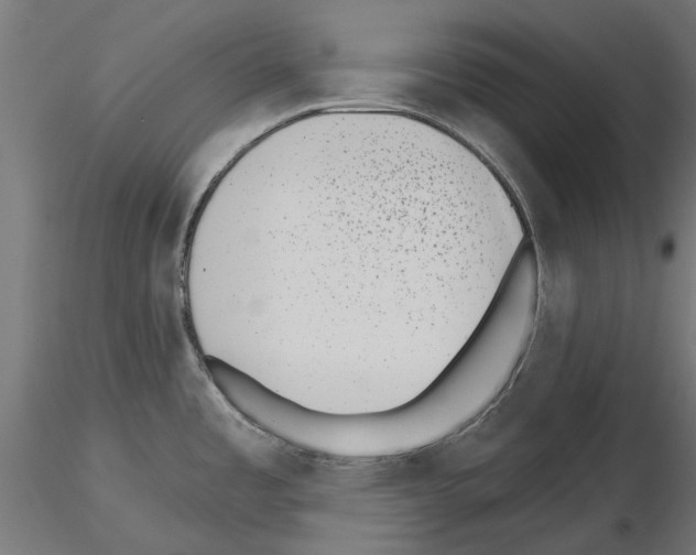 X0000115251485200912111105