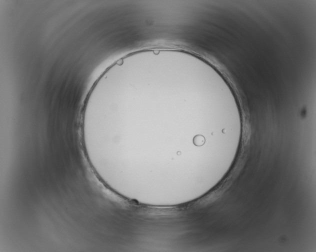 X0000115251486200912111105