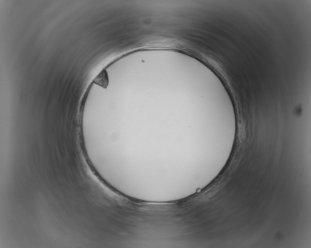 X0000115251487200912111105