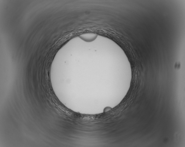 X0000115251489200912111105