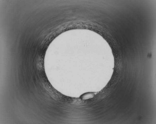 X0000115251490200912111105