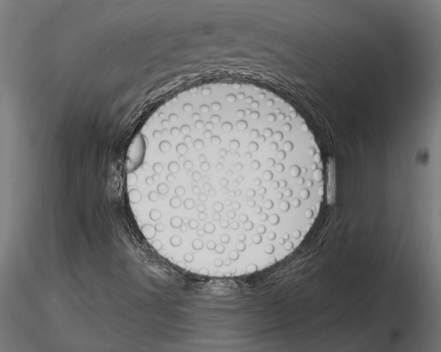 X0000115251491200912111105