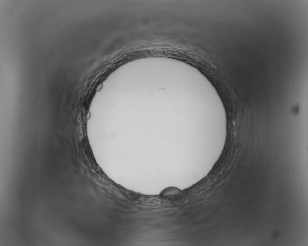 X0000115251493200912111105