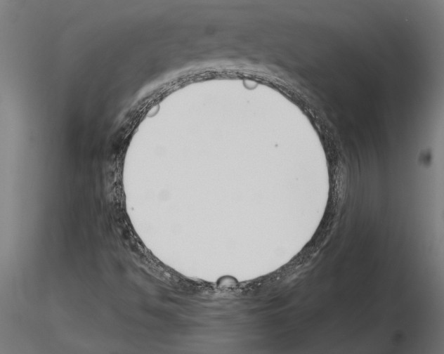 X0000115251494200912111105