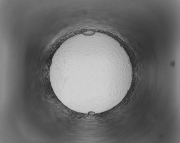 X0000115251495200912111105