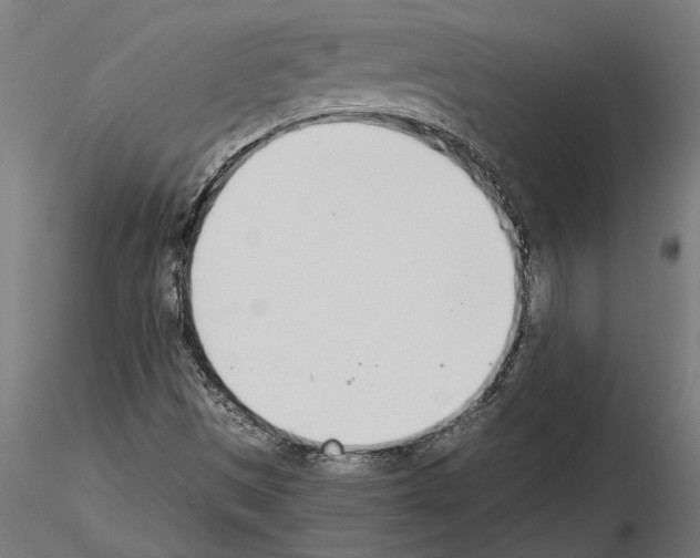 X0000115251497200912111105