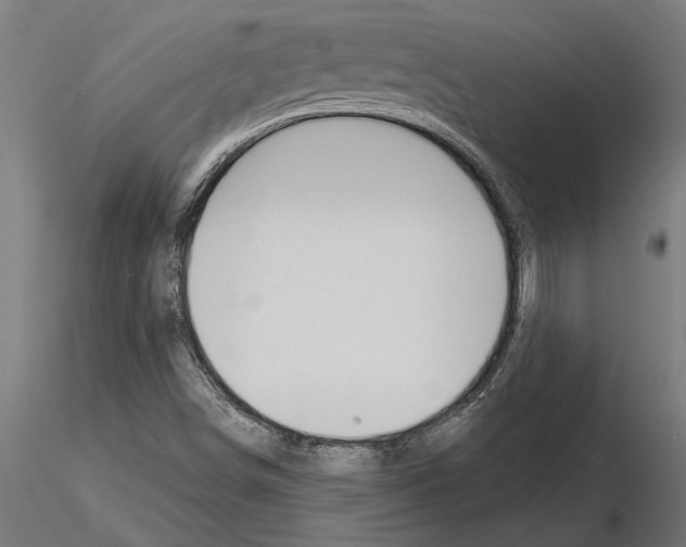 X0000115251498200912111105