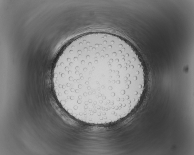 X0000115251499200912111105