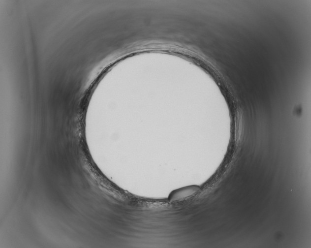 X0000115251501200912111105