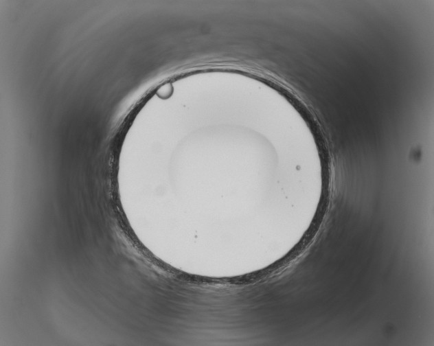 X0000115251502200912111105