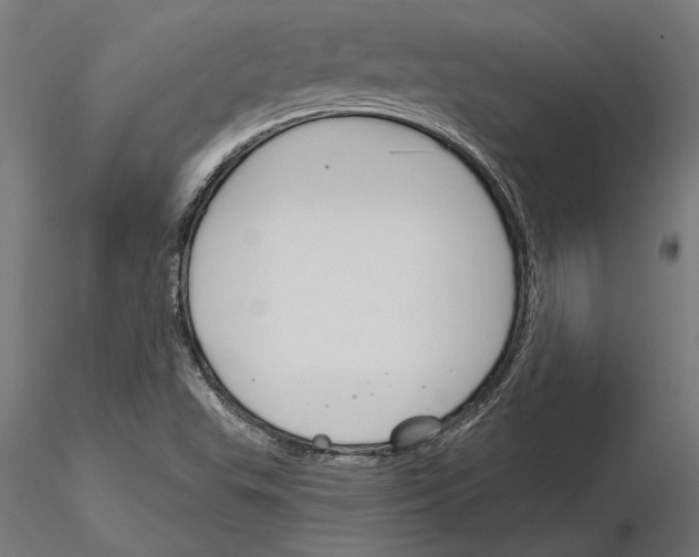 X0000115251503200912111105