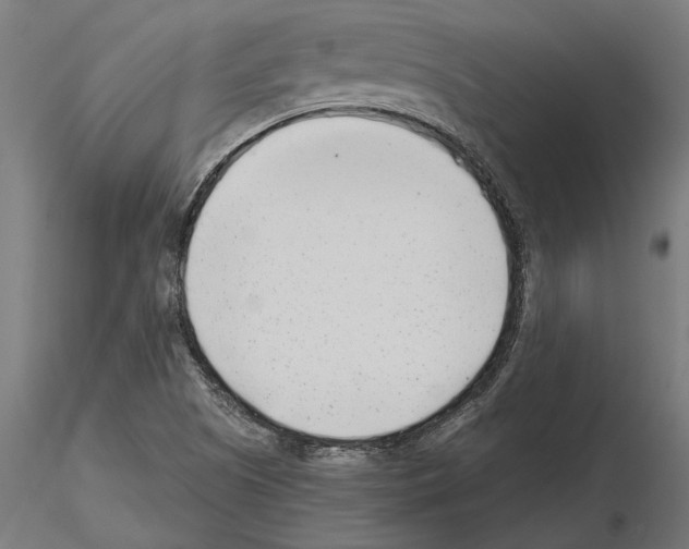 X0000115251505200912111105