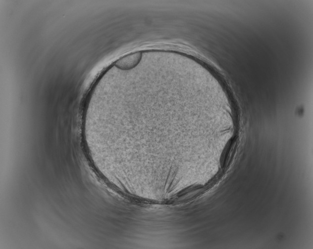 X0000115251506200912111105